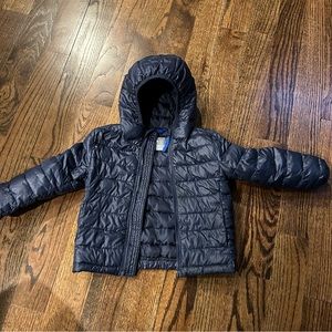 Toddler Primary Hooded Puffer Coat
